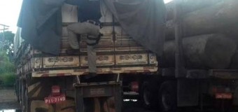 No PA, PRF flagra transporte ilegal de carga de madeira avaliada em R$ 9 mil