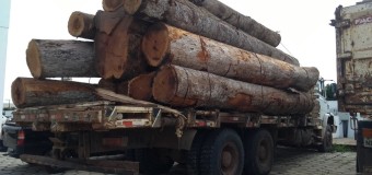 Caminhão com 13 toras de madeira é apreendido na zona rural de Vilhena