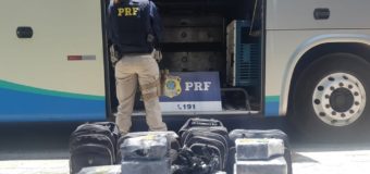 PRF apreende bolsas com 30,4 kg de maconha em ônibus interestadual em Sobral